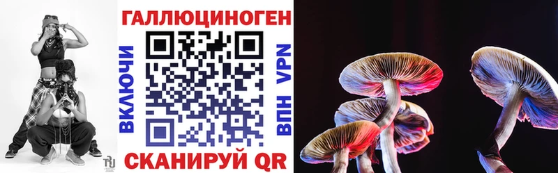 Псилоцибиновые грибы GOLDEN TEACHER  Абаза 