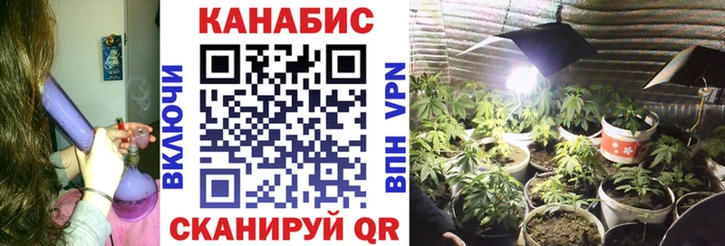 МАРИХУАНА конопля Абаза